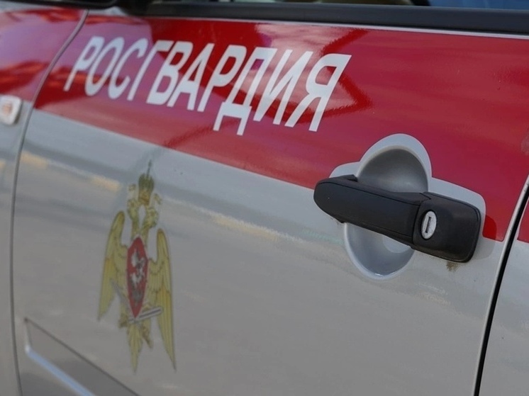 Пьяную дебоширку из Северодвинска пришлось усмирять Росгвардии