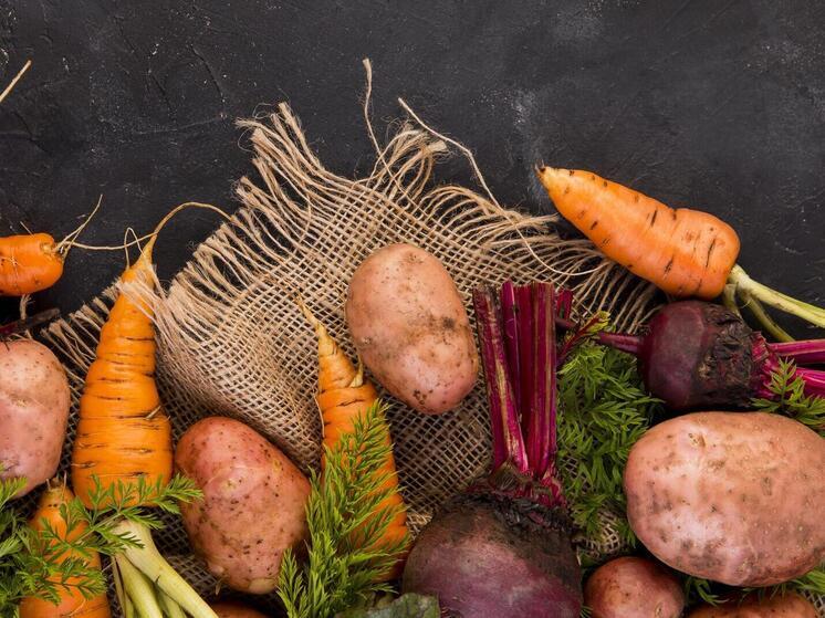 Как сохранить урожай: югорским дачникам на заметку