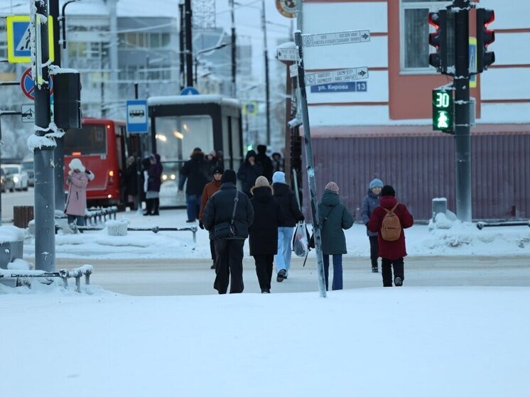 В Якутии зафиксирован резкий рост заболеваемости ОРВИ, школьники переходят на дистанционное обучение