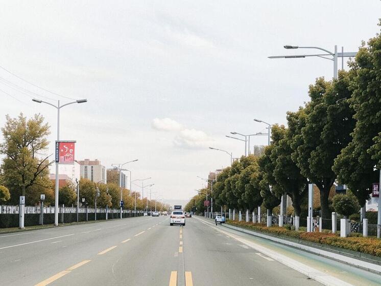 Полосы для общественного транспорта появились на проспекте Шамиля в Махачкале