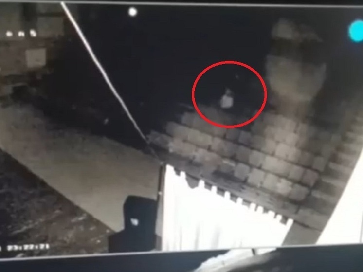 Работников дома молодежи в Новосибирске пугает «призрак»