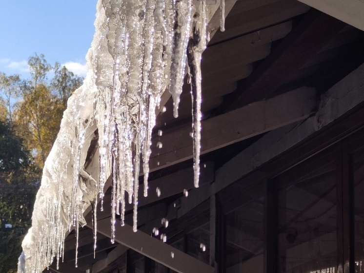 Ноябрь в Новосибирской области может стать аномально теплым