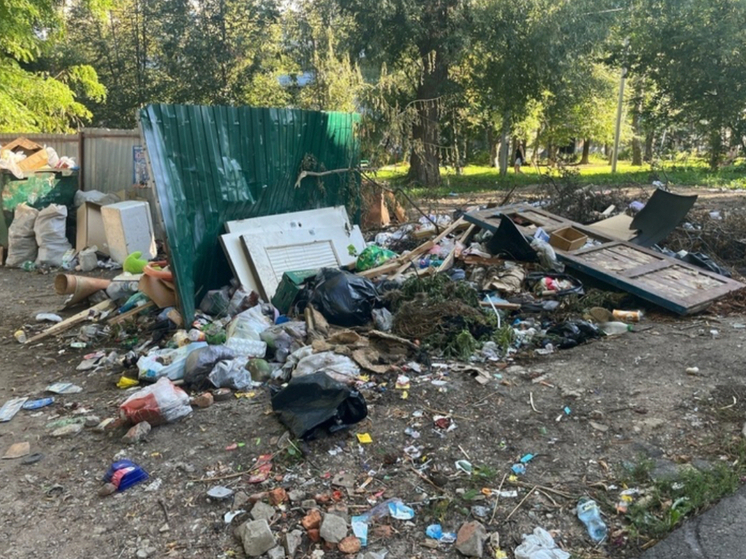 В Орловской области за сутки дважды тушили возгорание мусора