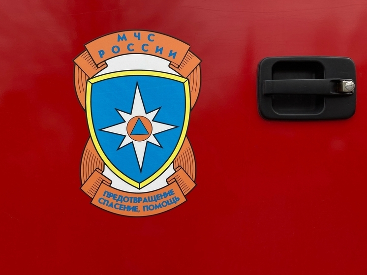 Пять пожаров потушили за сутки в Томской области