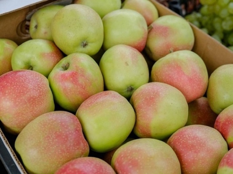 Растительное соединение кверцетин может защитить от возрастных болезней