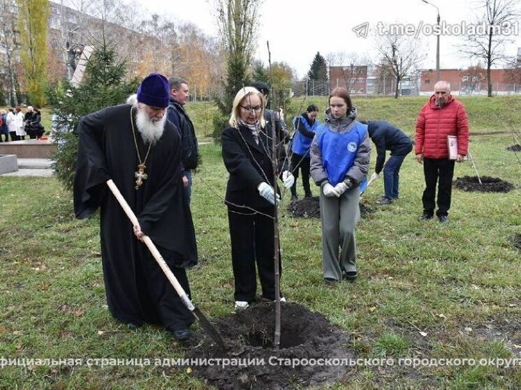 Старооскольцы высадили Аллею Памяти в честь ликвидаторов Чернобыльской АЭС