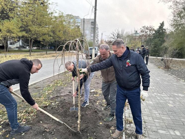 Ко Дню народного единства Пензенская область и Токмакский округ провели совместную акцию по озеленению