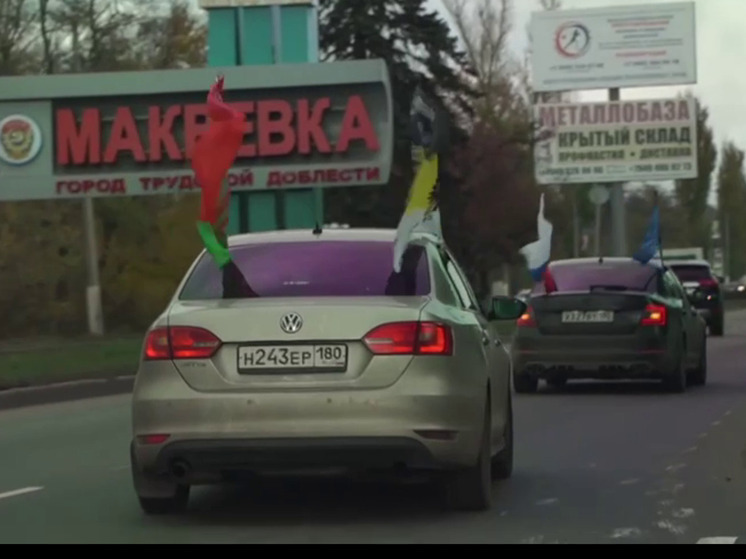В День народного единства автолюбители ДНР совершили патриотический пробег к Саур-Могиле