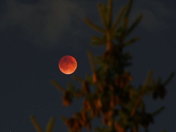 Волгоградцы 5 ноября полюбуются гигантской Луной