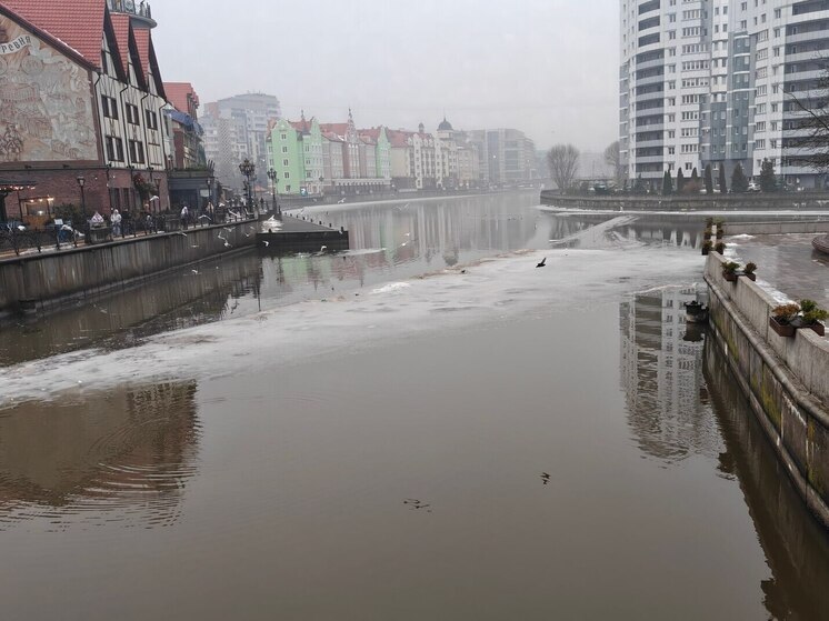 Калининградская Третьяковка встретила студентов колледжа предпринимательства