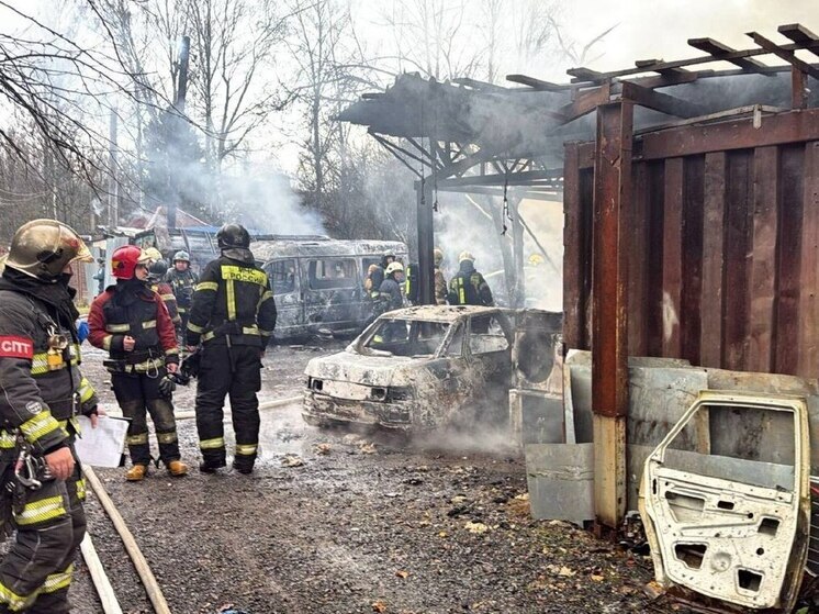 При пожаре в СНТ Ржевка-1 погибла петербурженка и двое малолетних детей