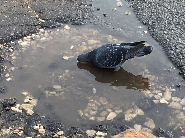 В Саратовской области может похолодать до -5 градусов
