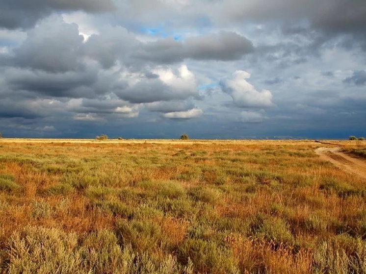 Завтра по приметам можно узнать погоду в Калмыкии