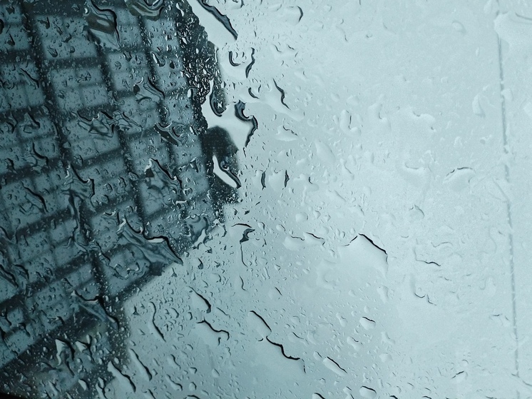 В Ленобласти 5 ноября местами ожидаются дожди и до +12 градусов