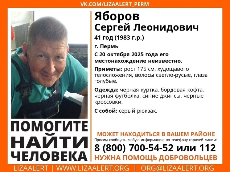 Пропавшего жителя Перми ищут в Тверской области
