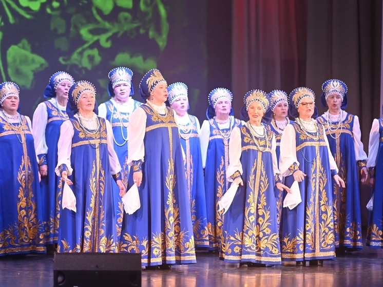 В Отрадном отметили День народного единства праздничным концертом