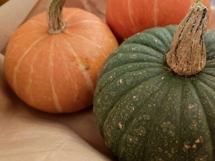 Врач Бойдич рассказала, что тыква очень полезна для здоровья сердца