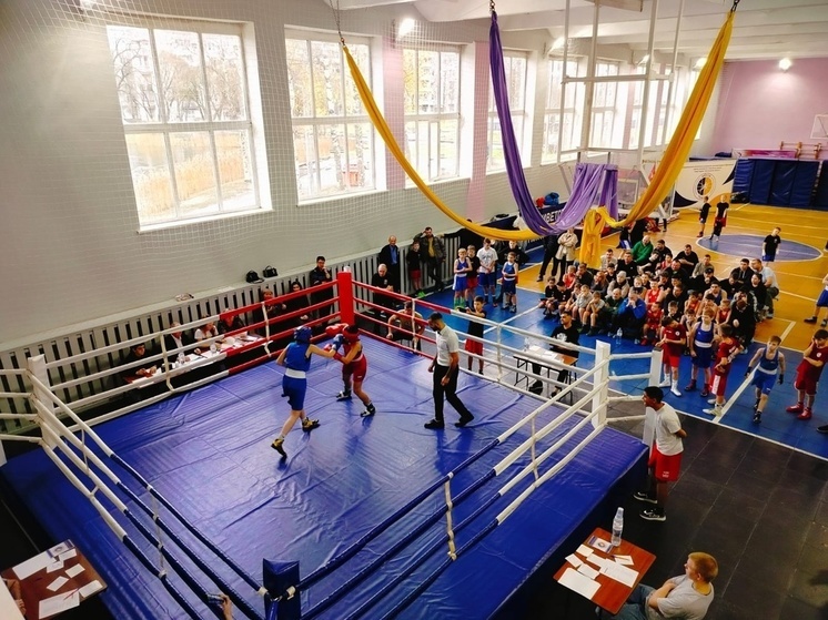 В Чудовской спортивной школе прошли соревнования по боксу