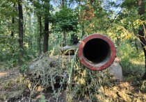 В День народного единства в Интернете вспыхнул костер спора о патриотической современной поэзии, который считался полностью потухшим