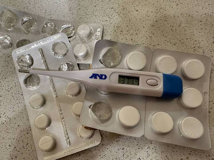 Петербуржцы за минувшую неделю чаще всего заражались COVID-19 и риновирусами