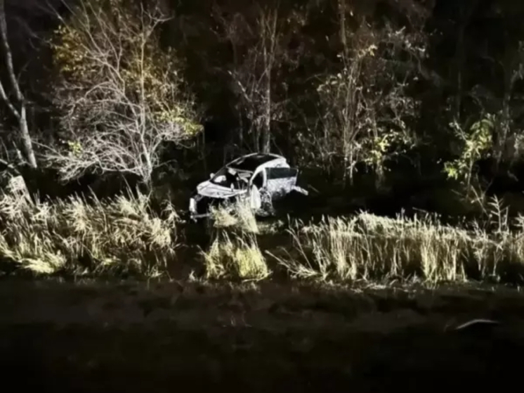 В Ростовской области в ДТП с тремя автомобилями погибло два человека