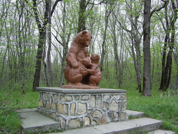 На Ставрополье нашли скелет медведя-родственника современных панд