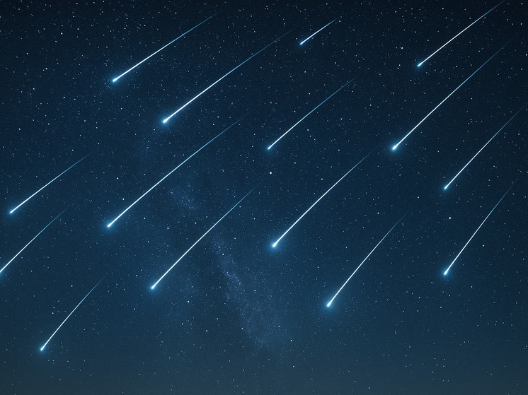 Пик звездопада Леониды смогут наблюдать новосибирцы в ноябре