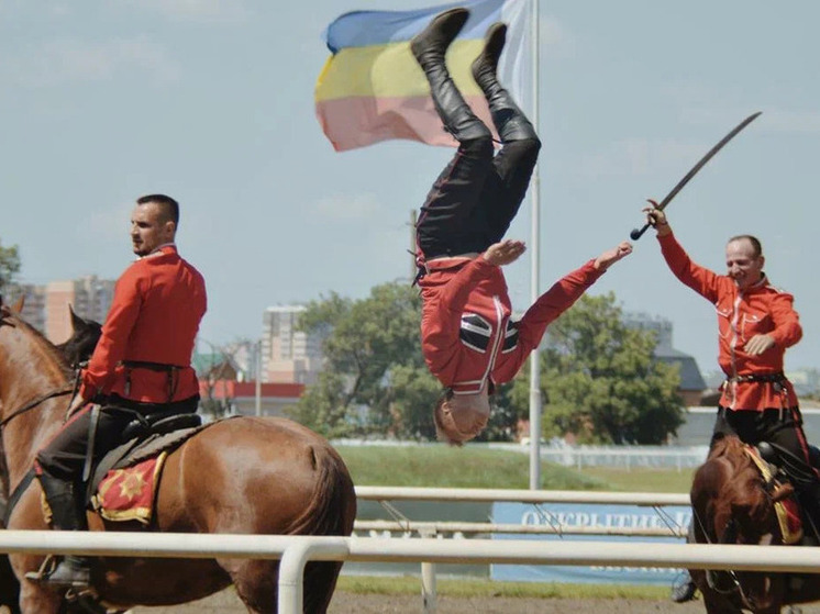 Все, что нужно знать о занятиях конным спортом