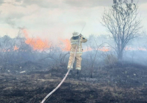 Человеческий фактор, засуха и ветер сделали в этом году пожароопасный период особенно сложным: зафиксировано 3 тысячи 300 пожаров, почти 2 тысячи из них имеют статус ландшафтных. Выясняем, где горело и как было организовано тушение.