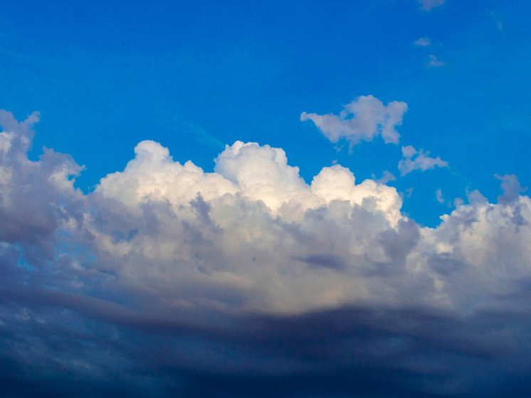 Комфортная погода ожидается в Липецкой области 5 ноября