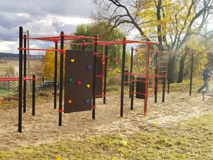 В калужском селе построили площадку для воркаута