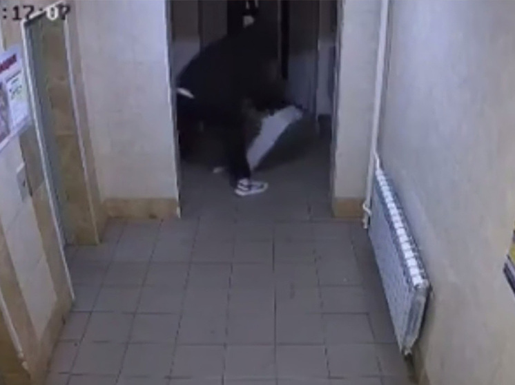 Вандалы разгромили подъезд в Липецкой области