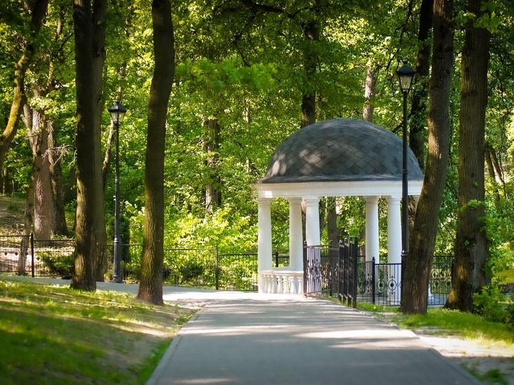 До 9 ноября туляков приглашают к участию в акции «Сохраним лес!»