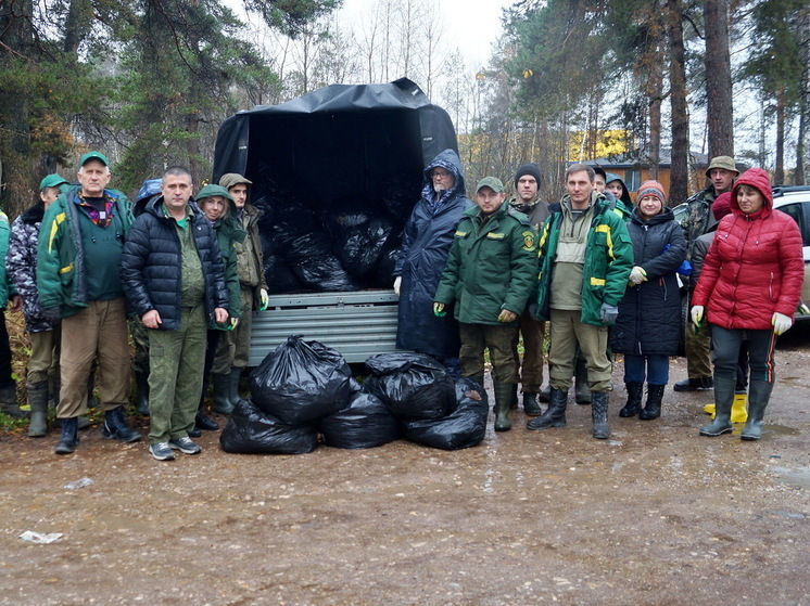 Более 20 гектар леса очистили от мусора на субботнике в Серпухове