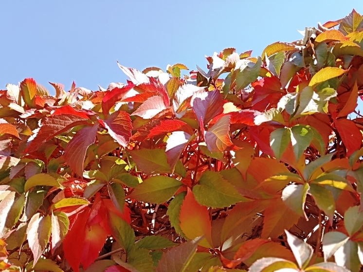 Сила магнитной бури 5 ноября составит 3 балла: энергетически сильный день