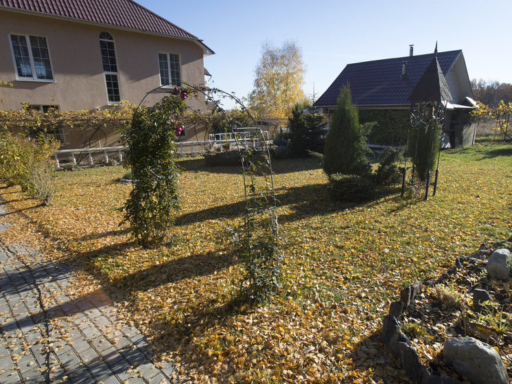 Эксперт Зинченко объяснила, что поздняя зима без снега опасна для саженцев