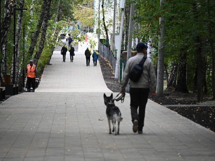 Гороскоп для всех знаков зодиака на 5 ноября 2025 года