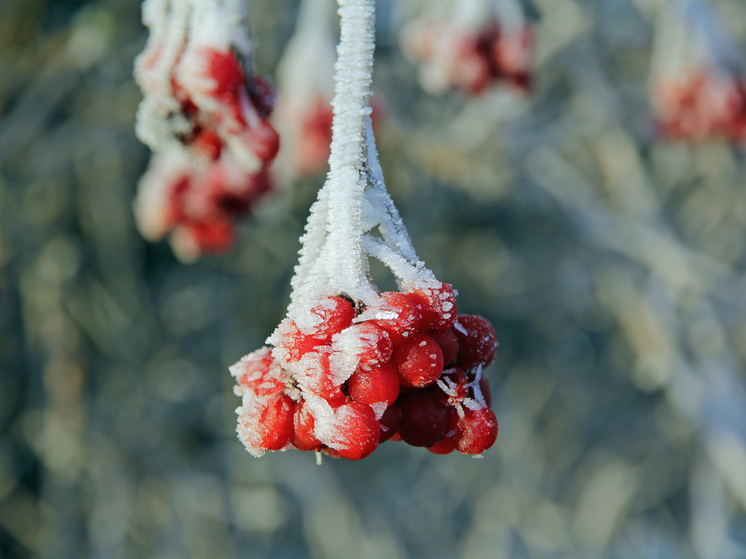 Гололёд и похолодания до -23°С ожидают жителей Томской области 5 ноября