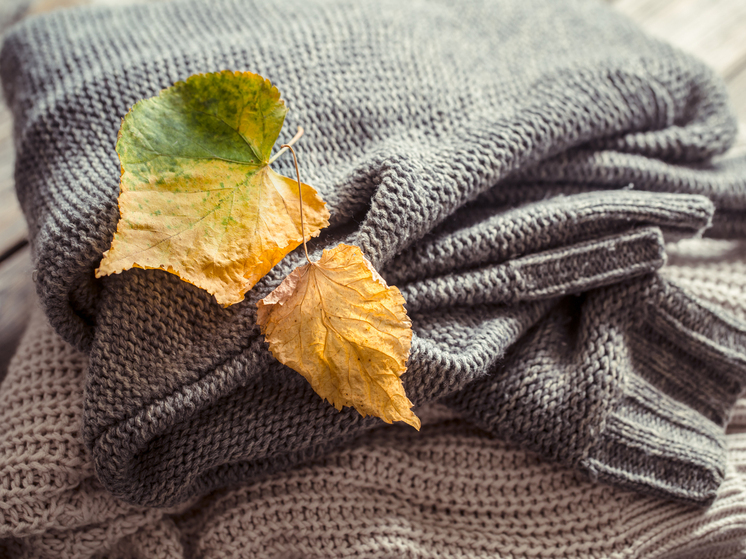 Возвращение заморозков: прогноз погоды в Красноярске на короткую рабочую неделю