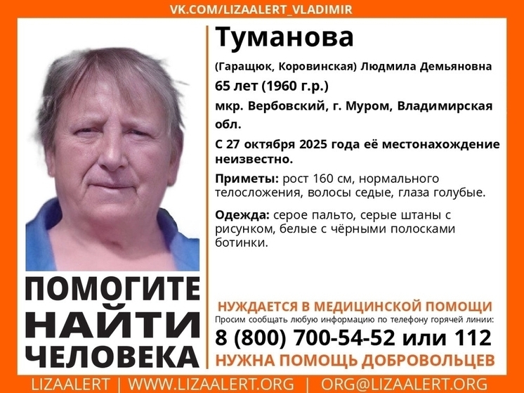 Бесследно пропала нуждающаяся в медпомощи жительница Владимирской области