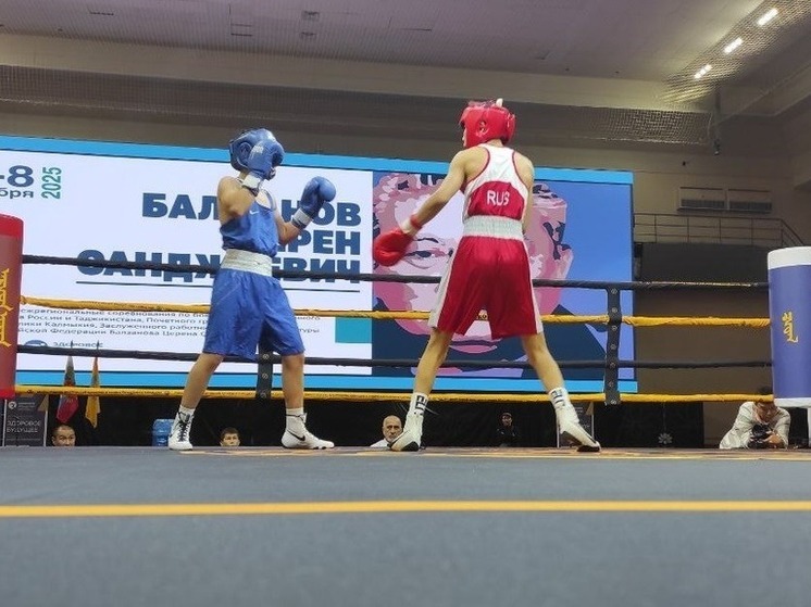 В Калмыкии дан старт межрегиональному турниру по боксу памяти Церена Балзанова