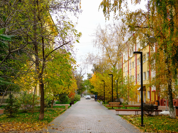 Двух пропавших без вести человек нашли мертвыми в Волгоградской области