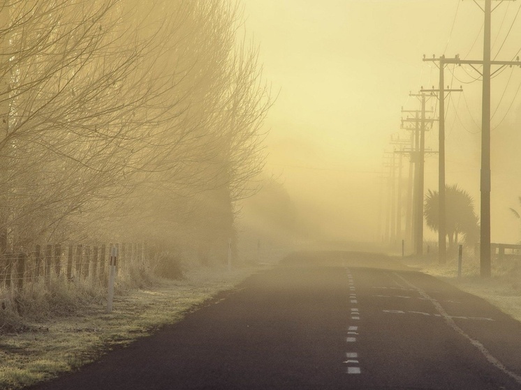 Вместо снега во Владимирскую область накроет опасное природное явление