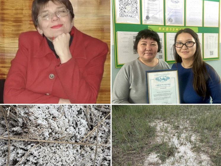 В ТувГУ  создали базу данных «Засоленные почвы Тувы»