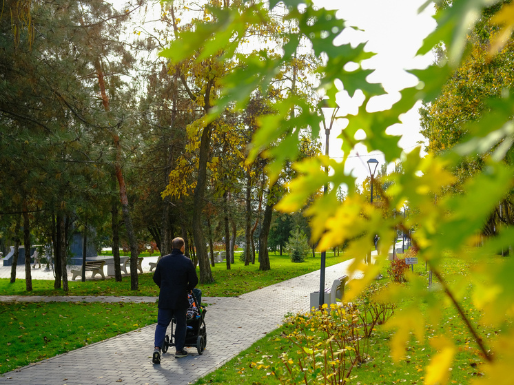 Погода порадует волгоградцев теплом до +14 градусов на короткой рабочей неделе