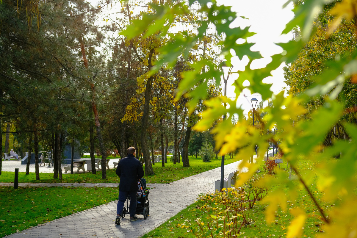 Погода порадует волгоградцев теплом до +14 градусов на короткой рабочей неделе