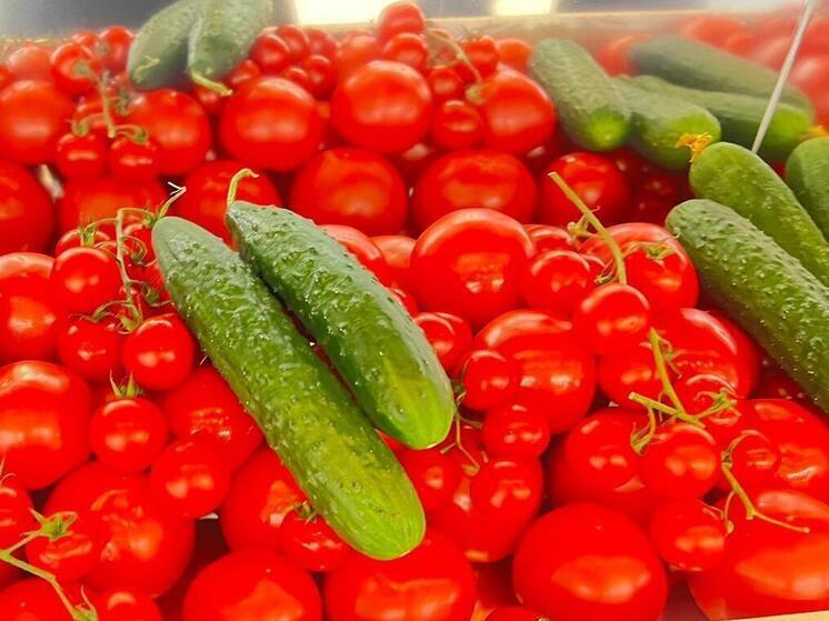 Производство овощей в теплицах Ставрополья выросло на 13%