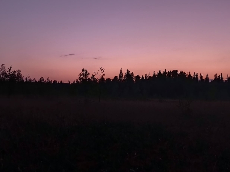 В Архангельске нашли двух мужчин, заблудившихся по пути в Цигломень