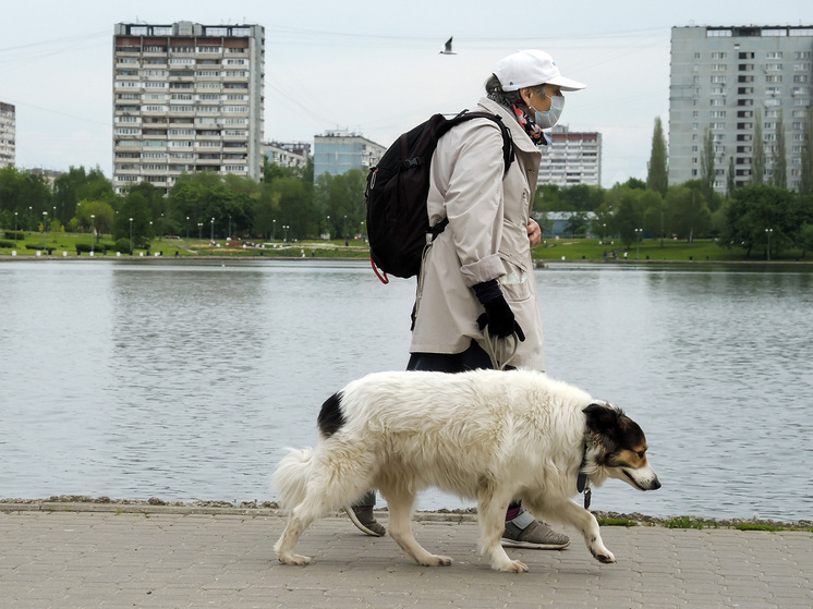 Rusia propone aumentar las multas por pasear perros sin autorización hasta los 50.000 rublos.