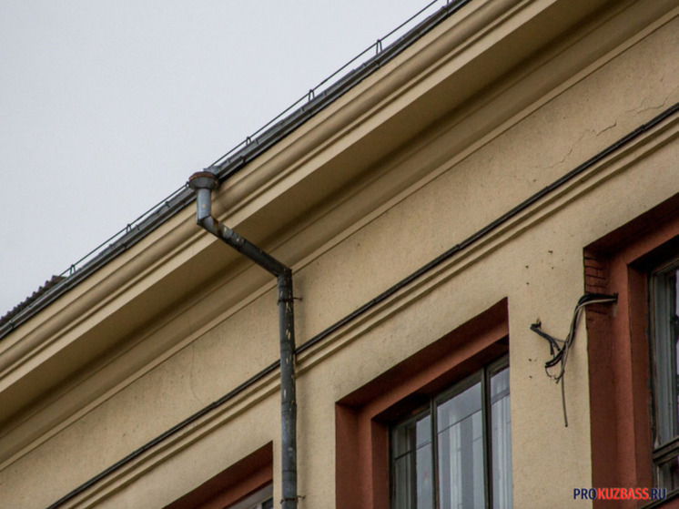 Жители Белова пожаловались на мертвых крыс на улицах и домах